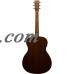 Sigma Guitars Mahogany Acoustic-Electric Folk Guitar (Shadowburst Finish) with ChromaCast Gig Bag and Accessories   